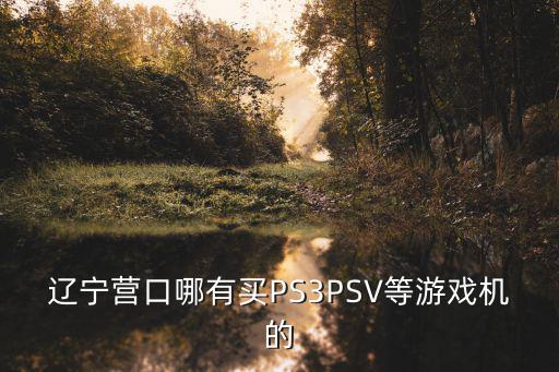 辽宁营口哪有买PS3PSV等游戏机的