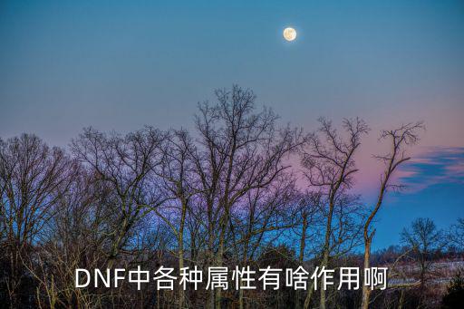 DNF中各种属性有啥作用啊