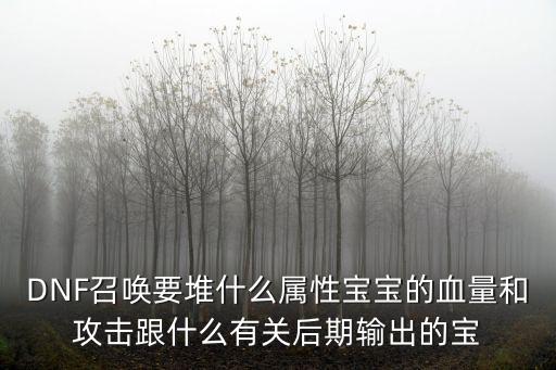 DNF召唤要堆什么属性宝宝的血量和攻击跟什么有关后期输出的宝