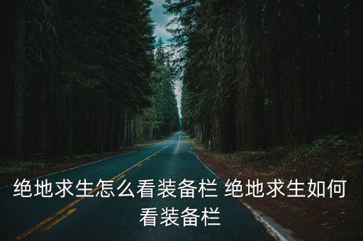 网易游戏装备栏在哪里，装备栏在哪里