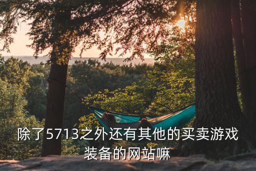 除了5713之外还有其他的买卖游戏装备的网站嘛