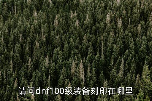 请问dnf100级装备刻印在哪里