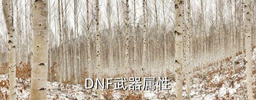 DNF武器属性