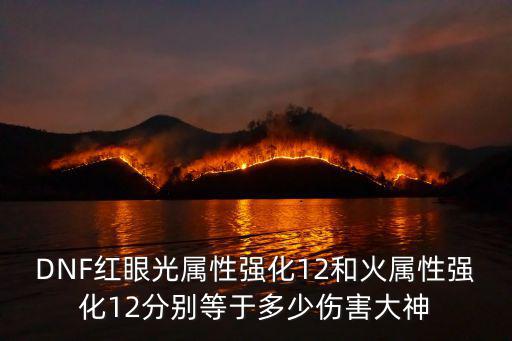 DNF红眼光属性强化12和火属性强化12分别等于多少伤害大神