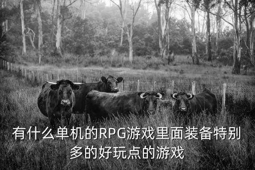 有什么单机的RPG游戏里面装备特别多的好玩点的游戏