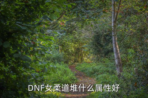 DNF女柔道堆什么属性好