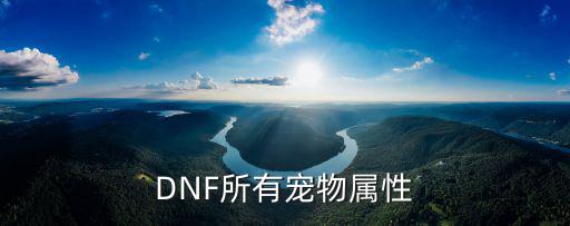 dnf什么宠物智力属性高，dnf所有宠物属性