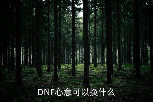 DNF心意可以换什么