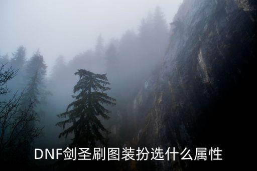 DNF剑圣刷图装扮选什么属性