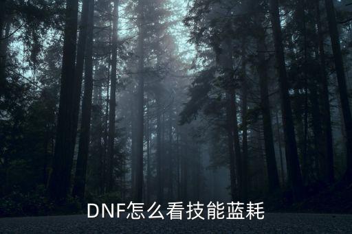 DNF怎么看技能蓝耗