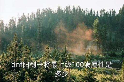 dnf阳剑干将最上级100满属性是多少