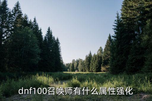 dnf100召唤师有什么属性强化