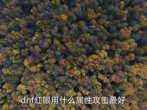 dnf选择什么属性好，dnf红眼用什么属性攻击最好