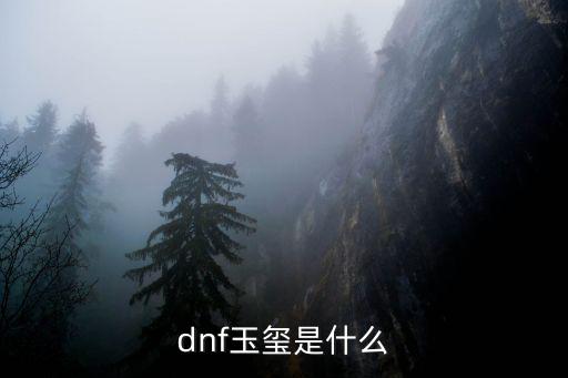 dnf玉玺是什么