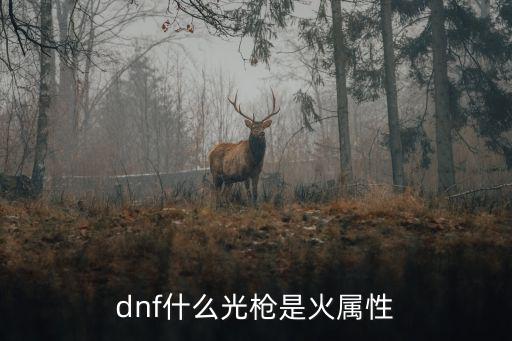 dnf什么光枪是火属性