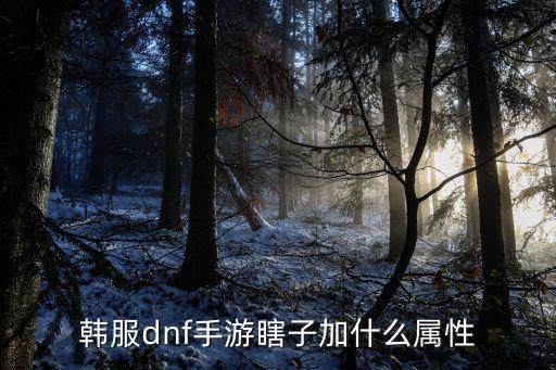 韩服dnf手游瞎子加什么属性