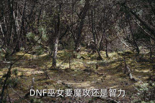 DNF巫女要魔攻还是智力