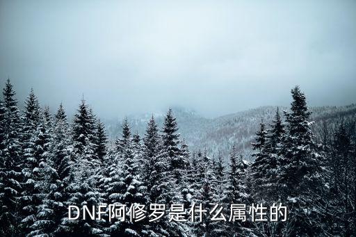 dnf修罗出什么属性，地下城修罗堆什么属性