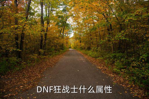 DNF狂战士什么属性