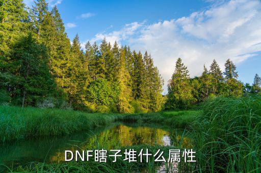 DNF瞎子堆什么属性