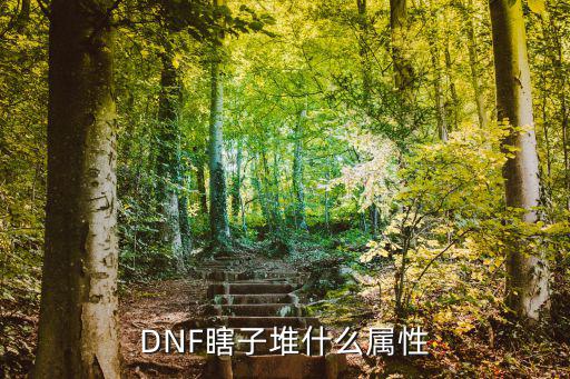 DNF瞎子堆什么属性