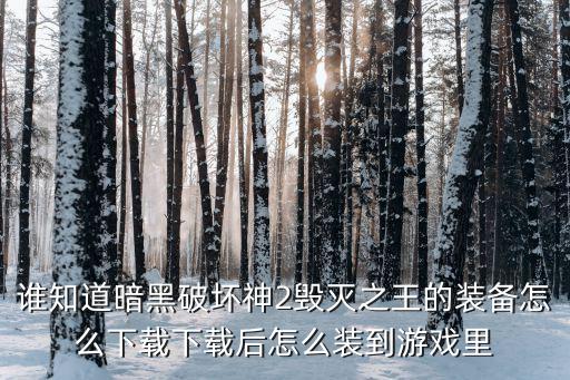 谁知道暗黑破坏神2毁灭之王的装备怎么下载下载后怎么装到游戏里