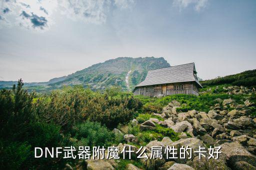 dnf什么属性卡好，DNF武器附魔什么属性的卡好