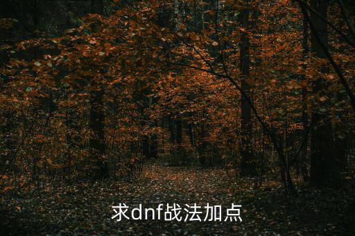 求dnf战法加点