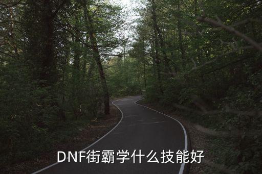 DNF街霸学什么技能好