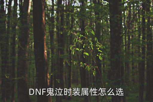 dnf鬼泣属性是什么，DNF鬼泣技能效果跟属性是怎样的