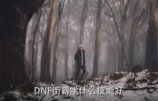 dnf街霸出什么属性好，DNF游戏中适合街霸的是什么装备