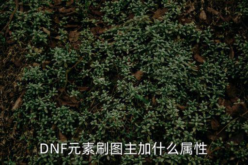 DNF元素刷图主加什么属性