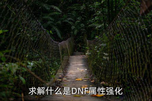 求解什么是DNF属性强化