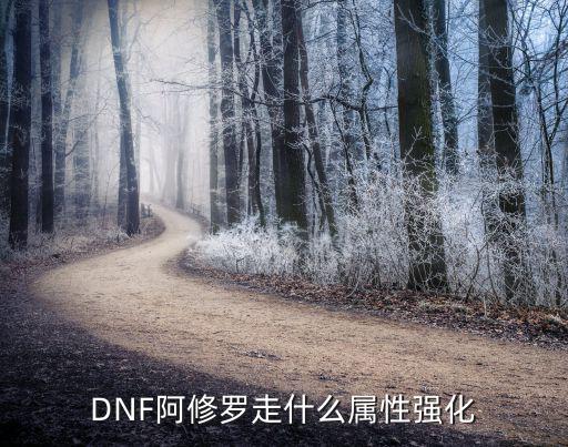 DNF阿修罗走什么属性强化