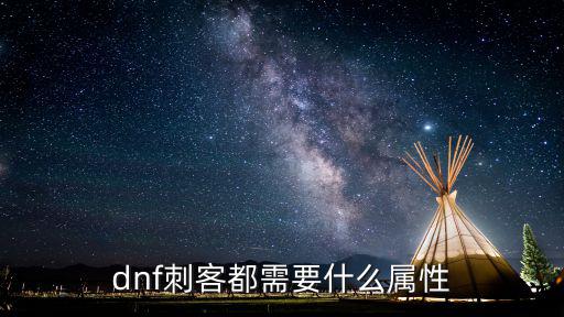 dnf刺客都需要什么属性