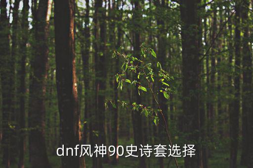 dnf风神90史诗套选择