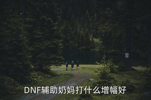 DNF辅助奶妈打什么增幅好