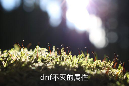 dnf不灭的属性