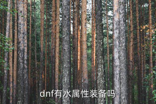 dnf有水属性装备吗