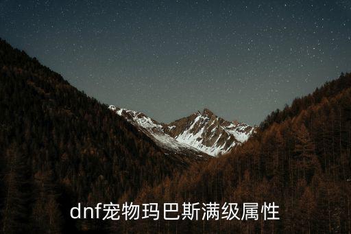 dnf宠物玛巴斯满级属性