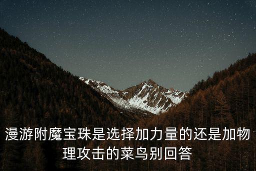 漫游附魔宝珠是选择加力量的还是加物理攻击的菜鸟别回答