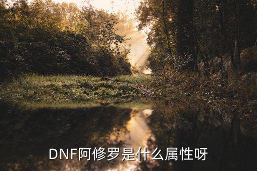 DNF阿修罗是什么属性呀