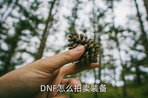 DNF怎么拍卖装备