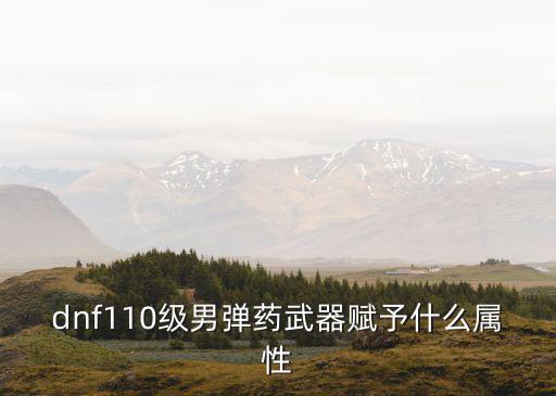 dnf110级男弹药武器赋予什么属性