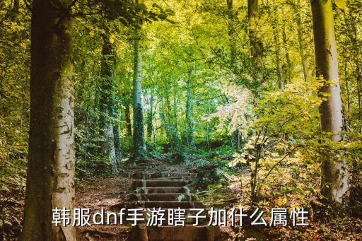 dnf瞎子什么属性的，韩服dnf手游瞎子加什么属性