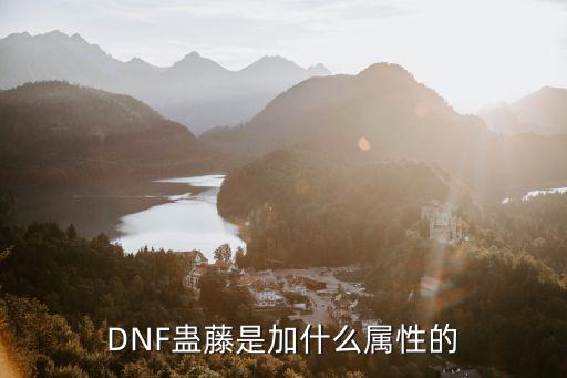 DNF蛊藤是加什么属性的