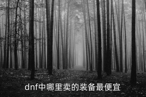 dnf中哪里卖的装备最便宜