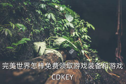 完美世界怎样免费领取游戏装备和游戏CDKEY