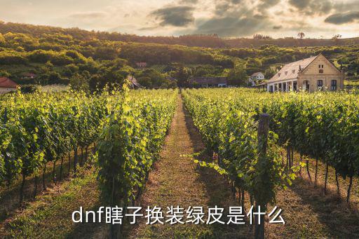 dnf瞎子换装绿皮是什么