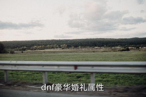 dnf豪华婚礼属性